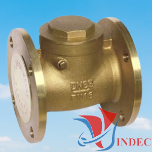 Bronze/Brass Swing Check Valve Flanged Ends