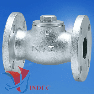 Cast/Ductile Iron Lift Check Valve Flanged Ends