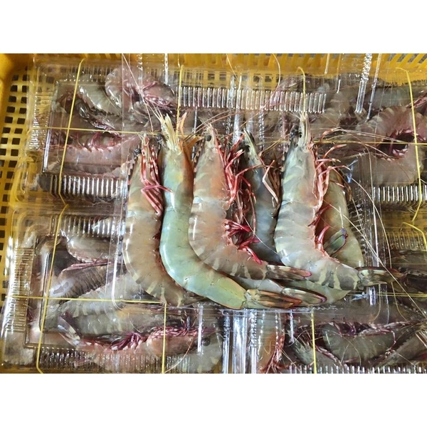thuc-don-hang-ngay-29-4-2016