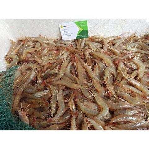 thuc-don-hang-ngay-thu-ba-7-11-2017