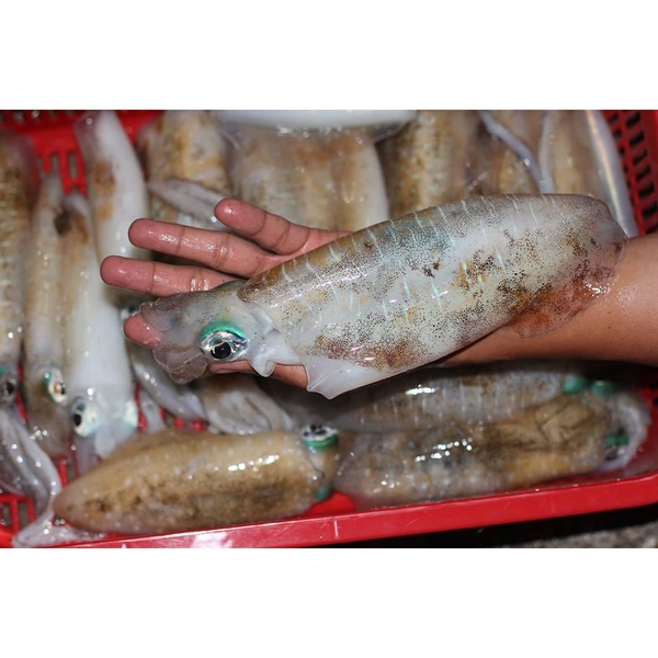 thuc-don-hang-ngay-chu-nhat-ngay-10-7-2016