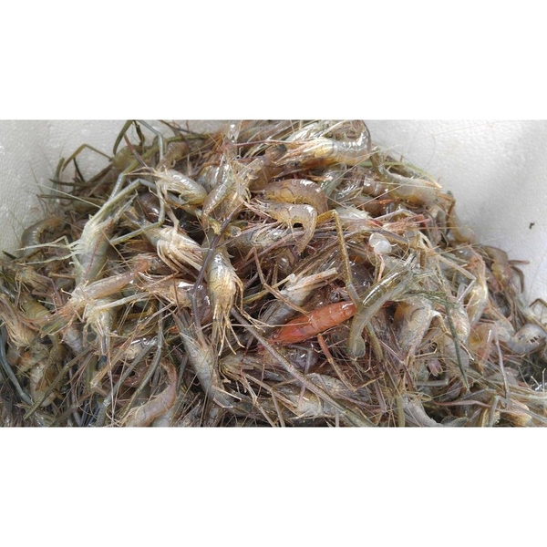 thuc-don-hang-ngay-23-02-2016