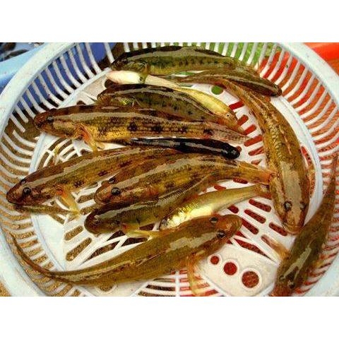 thuc-don-hang-ngay-thu-hai-31-7-2017