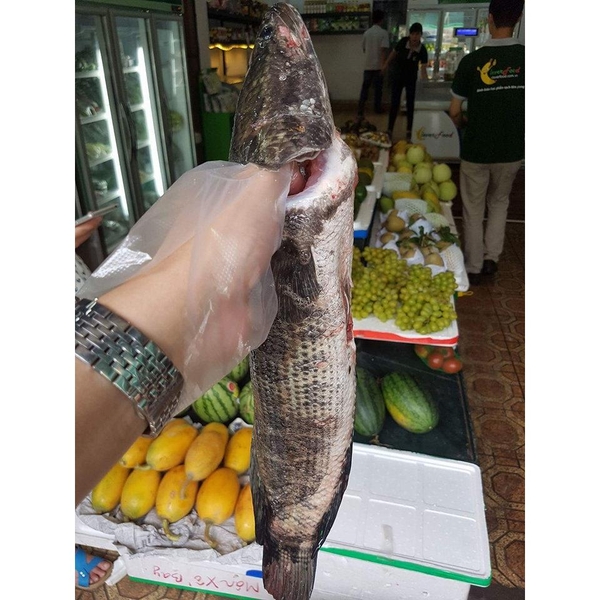 thuc-don-hang-ngay-thu-nam-29-6-2017