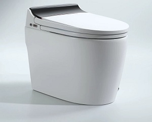 TÌM ĐẠI LÝ PHÂN PHỐI SẢN PHẨM BỒN CẦU THÔNG MINH