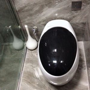 Có những thứ không bao giờ được vứt vào bồn cầu dù lớn hay nhỏ, dù lỏng hay rắn.