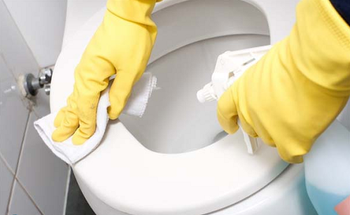 Cách sử dụng bồn cầu