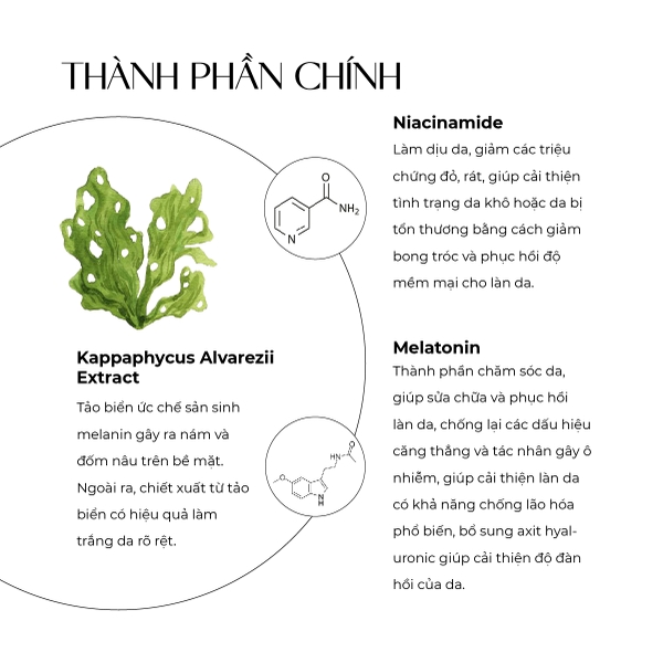 Kem nám và tàn nhang Truesky Melasma Blur Cream chiết xuất tảo biển 20g