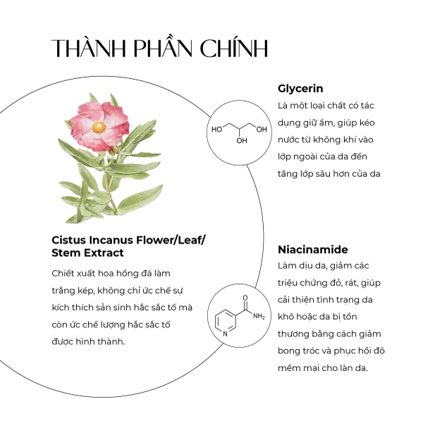 Mặt nạ cấp ẩm và dưỡng trắng Truesky Integrated Mask chiết xuất hoa hồng đá 25g