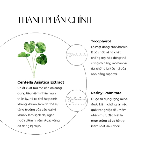 Bigsize - Gel rửa mặt ngăn ngừa mụn Truesky Centella Cleanser chiết xuất rau má 100g