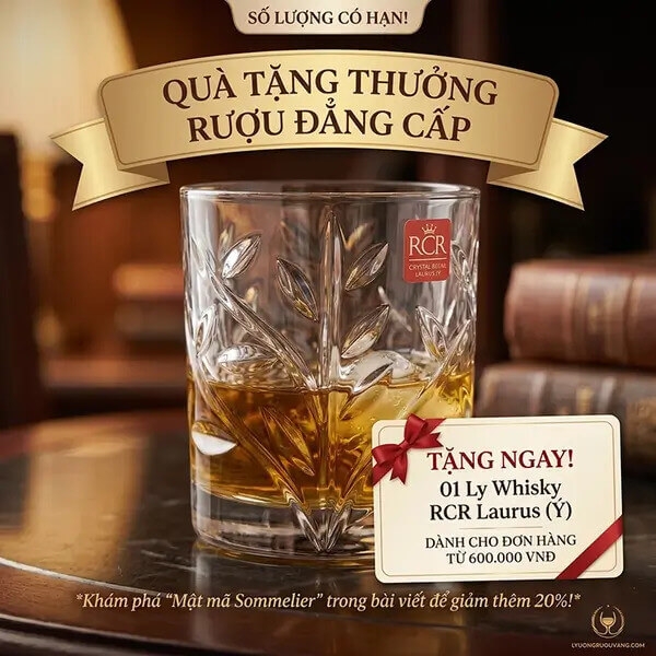 Chương Trình Ưu Đãi Đặc Biệt Cho Mọi Đơn Hàng Từ 600k