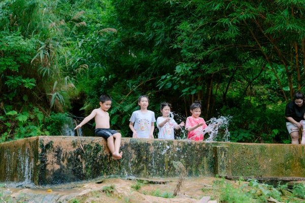 TOUR DU LỊCH MỘC CHÂU 2N1Đ TỪ HÀ NỘI GIÁ RẺ