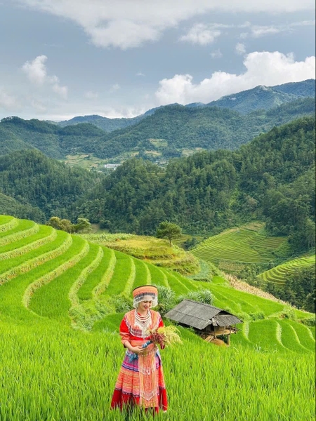 TOUR DU LỊCH MÙ CANG CHẢI 2 NGÀY 1 ĐÊM TỪ HÀ NỘI: ĐỒI CHÈ THANH SƠN – MÙ CANG CHẢI
