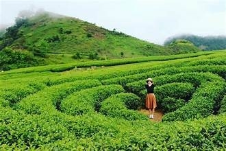 HÀ NỘI - BẮC YÊN - SĂN MÂY TÀ XÙA - HÀ NỘI 2 NGÀY 1 ĐÊM