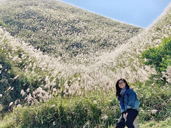 DU LỊCH BÌNH LIÊU MÙA HOA LAU