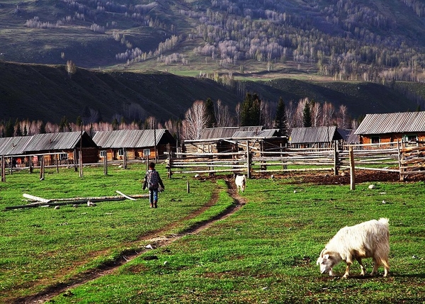 TOUR DU LỊCH BẮC TÂN CƯƠNG 10 NGÀY 9 ĐÊM TỪ HÀ NỘI: URUMQI – KANAS – HEMU – YINING – THẢO NGUYÊN NALATI