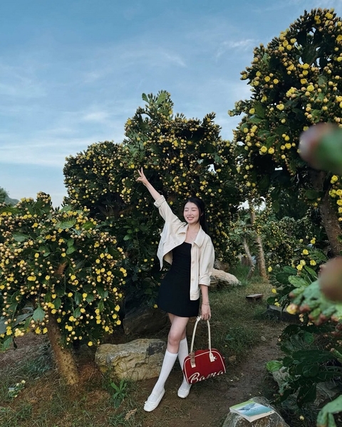 TOUR DU LỊCH MỘC CHÂU TỪ HÀ NỘI 2 NGÀY 1 ĐÊM