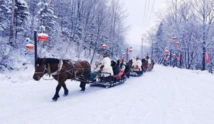 TOUR CÁP NHĨ TÂN 5N4Đ