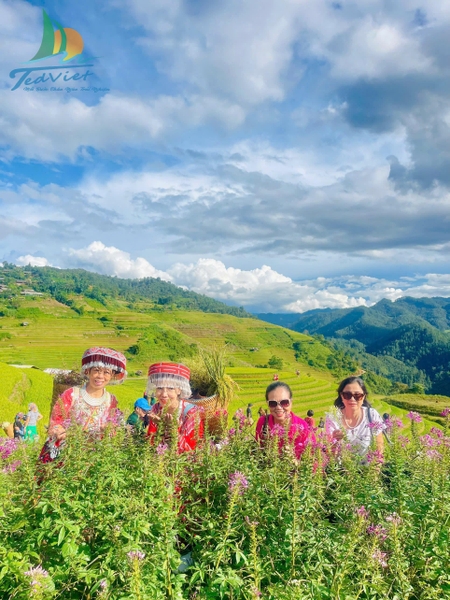 DU LỊCH SAPA 3 NGÀY 2 ĐÊM GIÁ RẺ: HÀ NỘI - SAPA - BẢN CÁT CÁT - CÁP TREO FANSIPAN