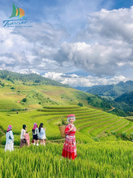 DU LỊCH SAPA 3 NGÀY 2 ĐÊM GIÁ RẺ: HÀ NỘI - SAPA - BẢN CÁT CÁT - CÁP TREO FANSIPAN