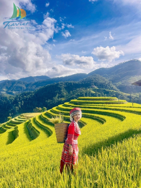 TOUR DU LỊCH SAPA 3N2Đ TỪ HÀ NỘI