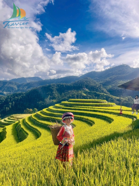 TOUR DU LỊCH SAPA 3N2Đ TỪ HÀ NỘI