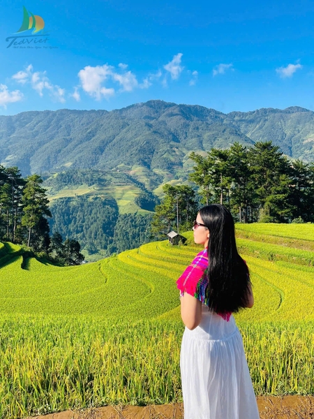 TOUR DU LỊCH MÙ CANG CHẢI: HÀ NỘI – MÙ CANG CHẢI – NGỌC CHIẾN 3N2Đ