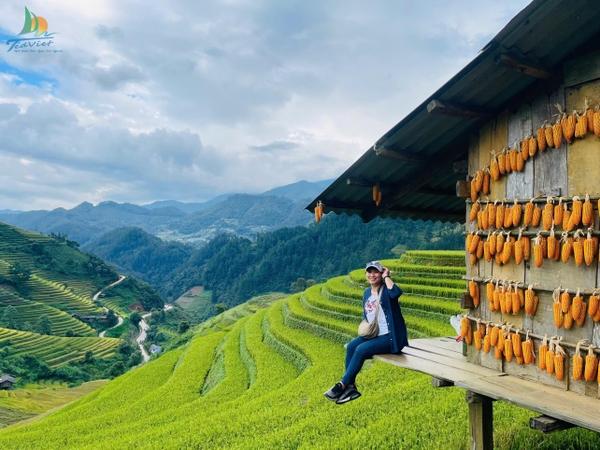 TOUR DU LỊCH MÙ CANG CHẢI: HÀ NỘI – MÙ CANG CHẢI – NGỌC CHIẾN 3N2Đ