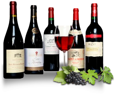5 Loại rượu vang chính gồm : vang đỏ , vang trắng , vang ngọt ...