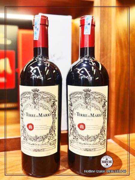 Rượu Vang Terre di Mario Montepulciano d’Abruzzo DOP