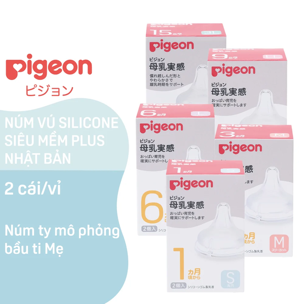 Núm ti pigeon (Chiếc)