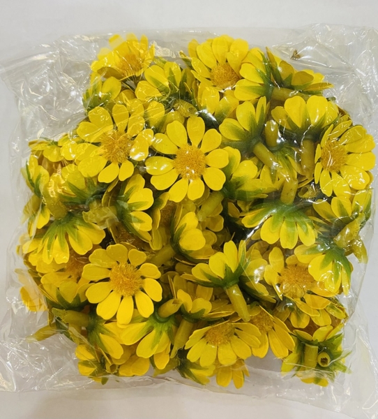 tui-100-bong-hoa-cuc-nhi-mau-vang