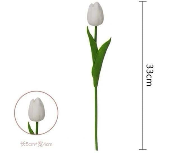 hoa-tulip-mau-trang