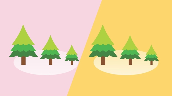 set-giay-6-cay-thong-xanh-nd