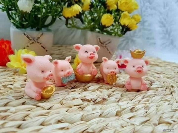 heo-than-tai-5-con-bo