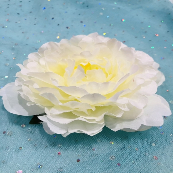 hoa-mau-don-mau-trang