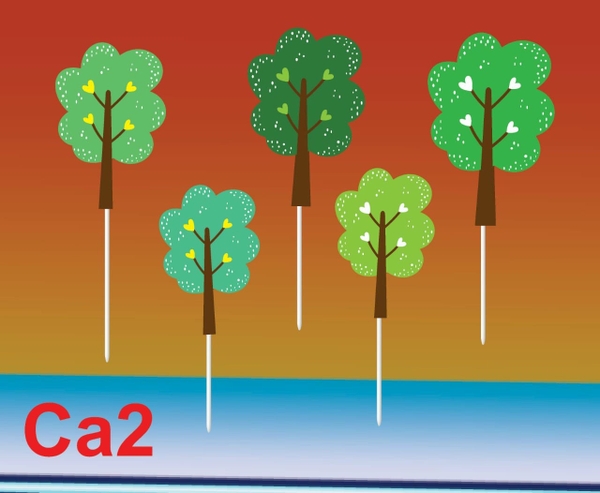 set-5-cay-xanh-la-rang-cua