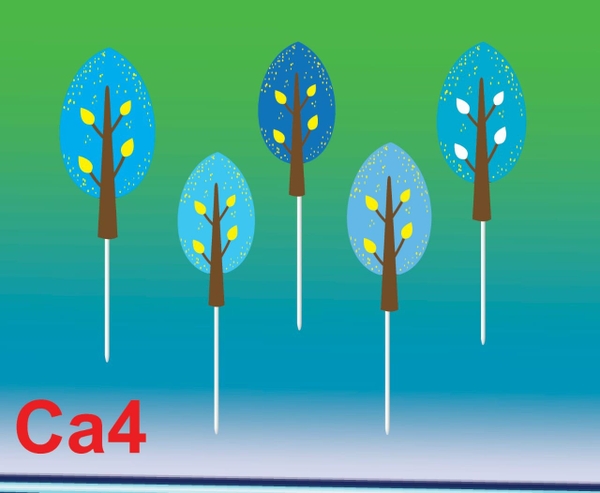 set-5-cay-xanh-nuoc-bien-nhon