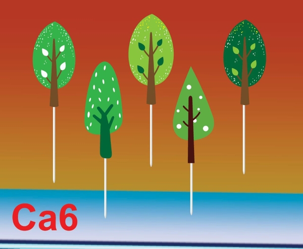 set-5-cay-xanh-la-nhon