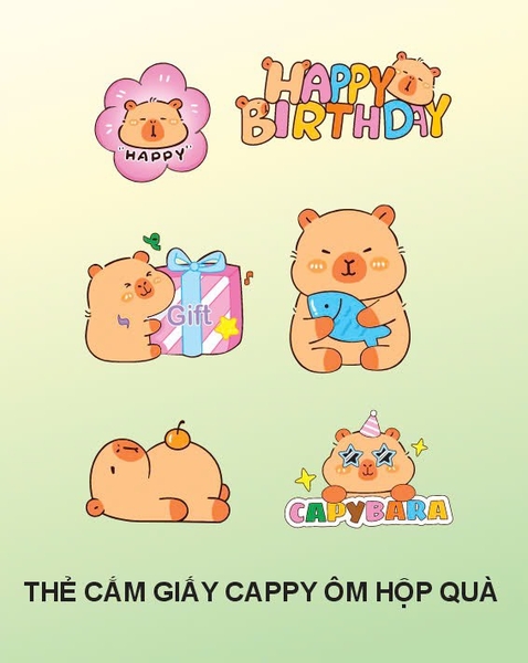 set-giay-cabybara-om-hop-qua