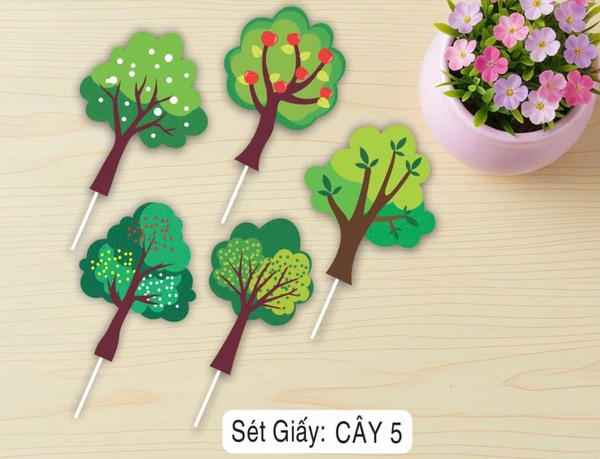 set-giay-cay-5-v2370