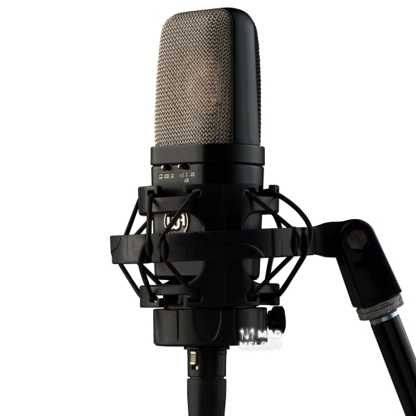 Warm Audio WA14 Condenser Microphone Mad Melody