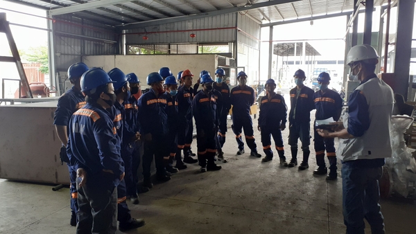 Dự án 11