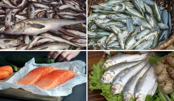 Top 8 thực phẩm thiếu máu não cần bổ sung 