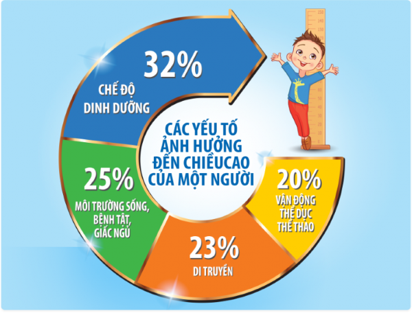Những yếu tố ảnh hưởng đến chiều cao của mỗi người