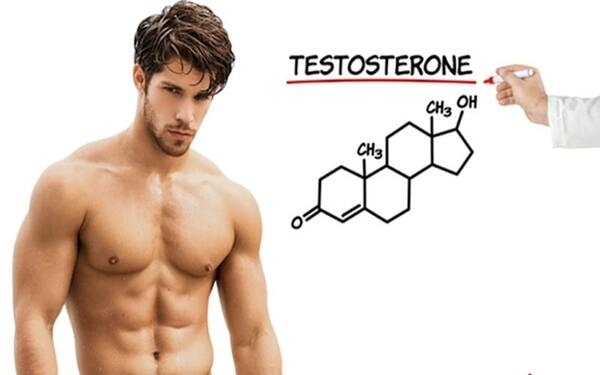 testosterone ở nam giới