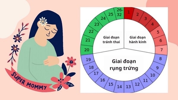 Cách tính ngày rụng trứng chính xác nhất hiện nay