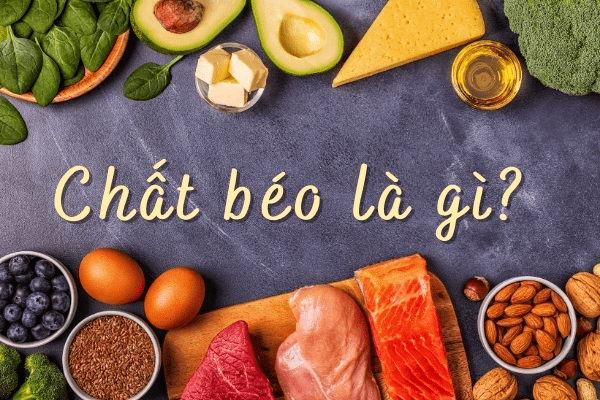 Chất béo là gì? 