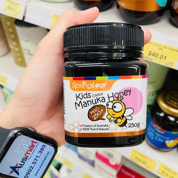 Mật ong Manuka cho trẻ em Springleaf Kids choice Manuka Honey MGO 250+ 250g