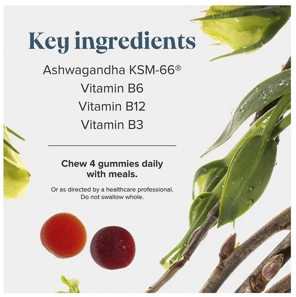 Kẹo dẻo giảm căng thẳng Novomins Ashwagandha Gummies 60 viên
